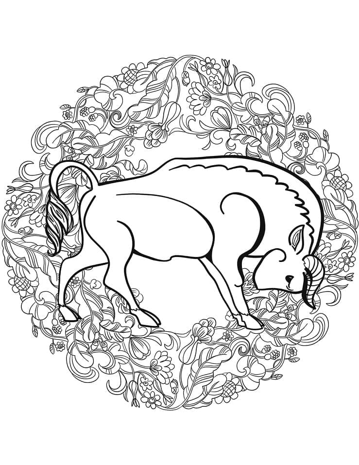 Mandalas Animaux 5
